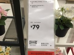 -宜家家居(哈尔滨商场店)