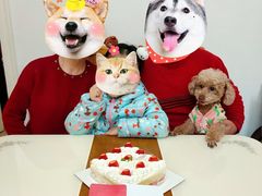 -幸福西饼生日蛋糕·下午茶(闵行店)