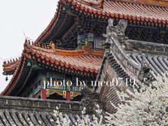 -雍和宫