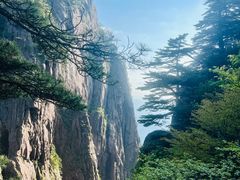 -黄山风景区