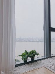 -ANNIL安奈尔·NASX超透白·科技抗衰·问题性肌肤管理