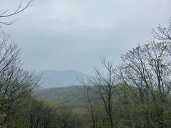 -安吉龙王山风景区