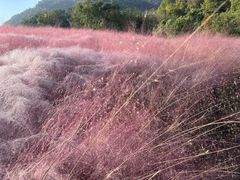 -昆嵛山石门里景区