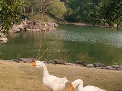 -台州府城(东湖)
