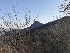 -阳台山自然风景区