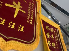 -半岛宠物医院24小时·内窥镜·牙科·碎石中心(府城大道店)