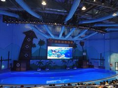 -石家庄极地海洋世界
