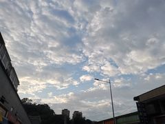 -长洲岛