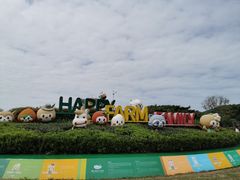 -苏州太湖西山岛开心农场