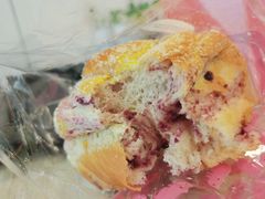 -蒲公英(五里店)