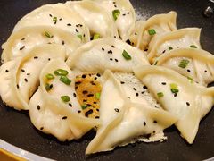 -小金鬼·煎饺·鸽子汤