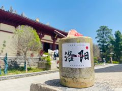 -洛阳古墓博物馆