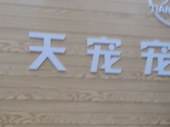 -天宠宠物医院24小时·急重症诊疗中心·全科·腔镜特色(和平分院)