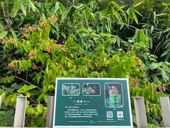 -福道