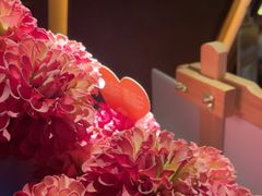 -亦境芳香·SPA影院足道(梅林店)