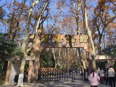 -灵谷景区
