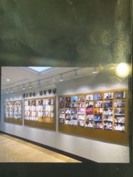 -南京医科大学友谊整形外科医院