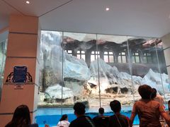 -帝企鹅自助餐厅•儿童岛•真企鹅(长隆企鹅酒店)