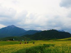 -扁都口生态休闲旅游区