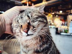 -么么咖啡(燕郊店)