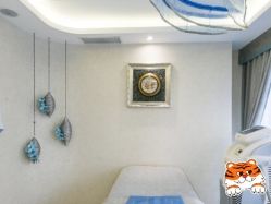 -健身堂科技美肌SPA