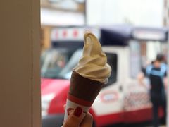 -富豪雪糕车流动点(尖沙咀店)