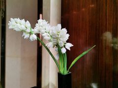 -厦门源昌凯宾斯基大酒店