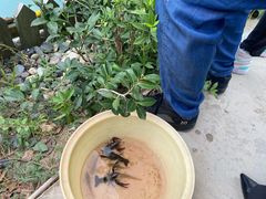 -美家乐农庄·露营·团建(大治路店)