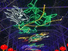 -南宫五洲植物乐园