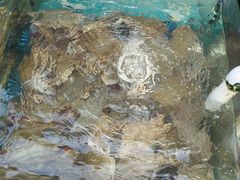 -马王堆海鲜水产市场