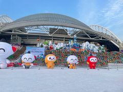 -沈阳奥体冰雪嘉年华