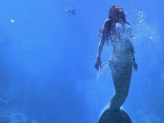 -太平洋海底世界