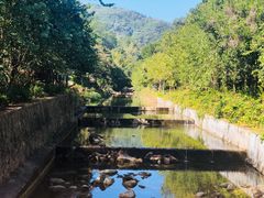 -广州白江湖森林公园