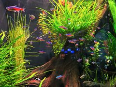 -上海海洋水族馆