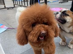 -万达广场(南京江宁店)