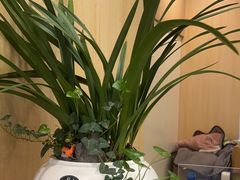 -合肥美奥口腔·种植矫正中心(政务院)