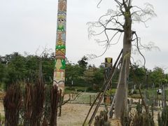 -松山湖南湖湾露营营地