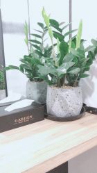 -Garden花園造型