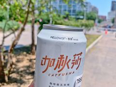 -麦隆咖啡(北大店)