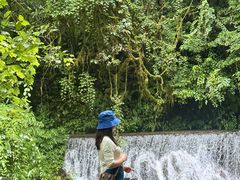 -西岭雪山大飞水景区