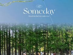 -上海共青森林公园