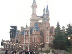 -迪士尼火鸡腿