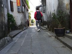 -杨梅坑