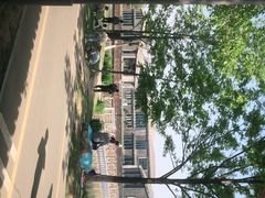 -西安浐灞国家湿地公园