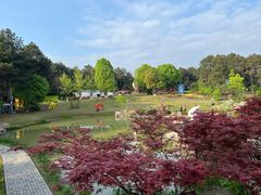 -铁山坪森林公园