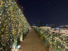 -莫子山公园