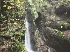 -藏龙百瀑风景区