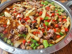 -食神又名厕所兔