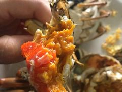 -乡乐园蟹庄·阳澄湖农家乐