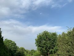 -北京鹫峰国家森林公园